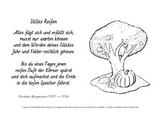 M-Stilles-Reifen-Morgenstern.pdf